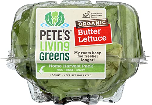 Organic Butter Lettuce, 6 Oz