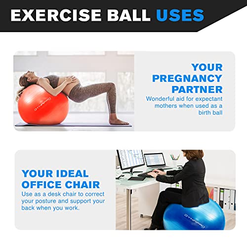 Exercise Ball – Extra Thick Eco-Friendly & Anti-Burst Material Supports over 2200lbs, Stability Ball for Home, Yoga, Gym Ball, Birthing Ball, Physio Ball, Swiss Ball, Physical Therapy or Pregnancy