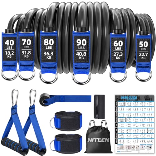 Heavy Resistance Bands for Working Out, Workout Bands, Exercise Bands with Door Anchor, Handles, Carry Bag, Legs Ankle Straps for Resistance Training, Physical Therapy, Home Workouts