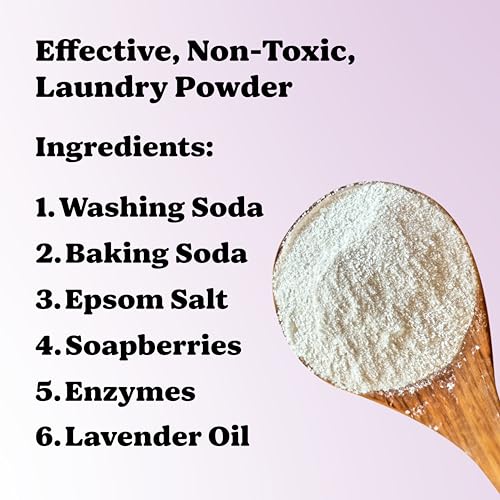 Laundry Detergent Powder Alternative | Non-Toxic, Eco-Friendly, Natural for Sensitive Skin, Eczema, and Babies. Stain + Smell Fighting. HE Safe (Lavender, 120 Loads)