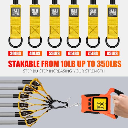 Heavy Resistance Bands, 350lbs Exercise Bands with Handles, Workout Bands for Working Out Men, Weight Bands Set with Door Anchor and Ankle Straps, Home Gym Fitness Strength Training Equipment