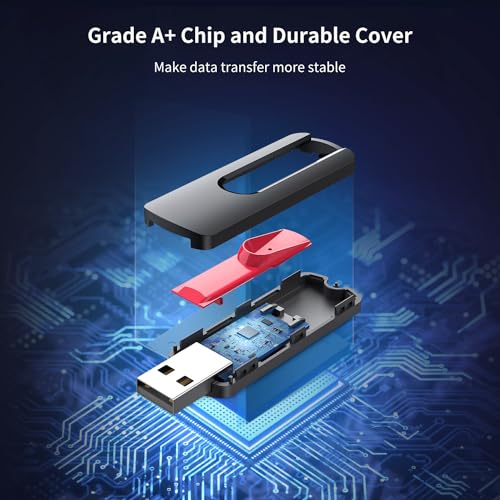 RAOYI 10 Pack 32GB USB Flash Drives Slide Retractable Memory Stick Bulk USB 2.0 Thumb Drive Jump Drive Zip Drive USB Sticks Data Storage Backup for PC Mac (32G, 10 Mixed Color)