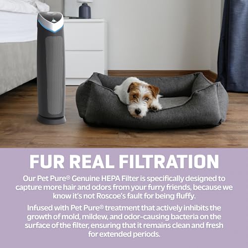 GermGuardian Air Purifier with Genuine HEPA 13 Pet Pure Filter, Removes 99.97% of Pollutants, Covers Large Rooms up to 915 Sq. ft. in 1 Hour, UV-C Light Helps Reduce Germs, 28", Black, AC5250PT