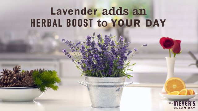 MRS. MEYER'S CLEAN DAY Liquid Laundry Detergent, Biodegradable Formula Infused with Essential Oils, Lavender, 64 oz (64 Loads)