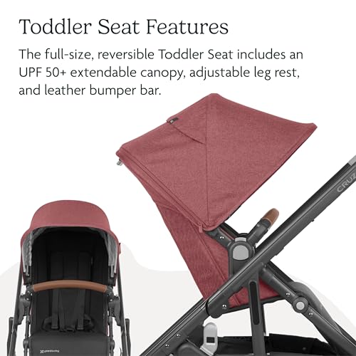 UPPAbaby Cruz V2 Stroller/Full-Featured Stroller with Travel System Capabilities/Toddler Seat, Bumper Bar, Bug Shield, Rain Shield Included/Greyson (Charcoal Mélange/Carbon Frame/Saddle Leather)