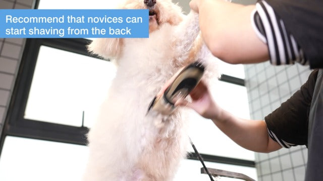 oneisall Dog Shaver Clippers Low Noise Rechargeable Cordless Electric Quiet Hair Clippers Set for Dogs Cats Pets