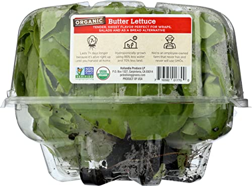 Organic Butter Lettuce, 6 Oz