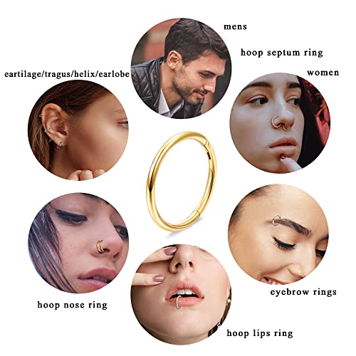 Dochais 4PCS 18G Nose Rings Hoops, Surgical Steel Earrings Tragus Septum Piercing CZ Clicker Septum Ring Hinged Segment Septum Conch Lip Cartilage Double Hoops 8mm 10mm For Women Men