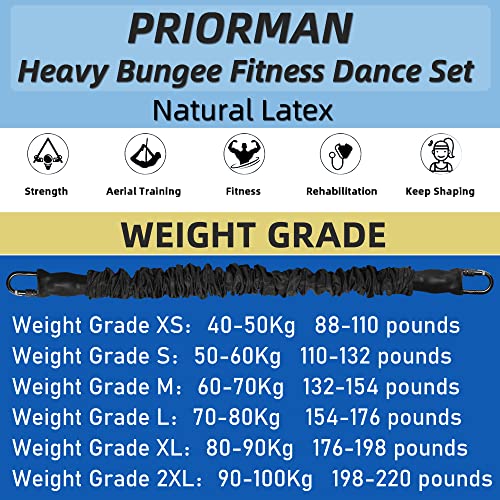Bungee Fitness Equipment Set Heavy Cord Bungee Dance Resistance Belt Rope Workout Fitness Gym Professional Training Equipment