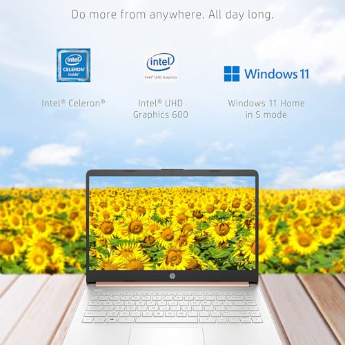 HP Stream 14-inch Laptop for Student and Business - Intel Quad-Core Processor, 16GB RAM, 320GB Storage (64GB eMMC + 256GB Card), 1-Year Office 365, Webcam, 11H Long Battery Life, Wi-Fi, Win11 H in S
