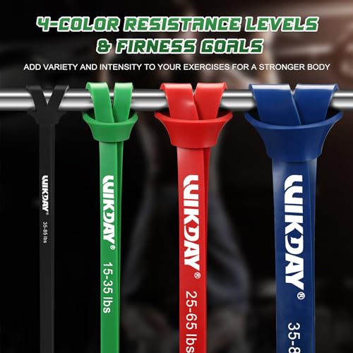 Resistance Bands, Pull Up Bands, Workout Bands for Exercise, Thick Heavy Resistance Band Set with Door Anchor, Elastic Bands for Body Stretching, Crossfit Training at Home/Gym for Men & Women