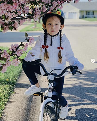 Royalbaby Freestyle Kids Bike 2 Hand Brakes 12 14 16 18 20 Inch Children's Bicycle for Boys Girls Age 3-12 Years