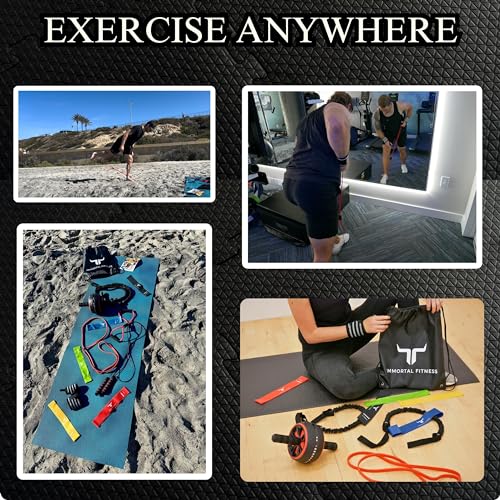 Portable Home Workout Resistance Set - Physical Therapy at Home - Resistance Bands, Jump Rope, Ab Wheel, Push-up Bars, and More! Great for Training at Home or on The Go
