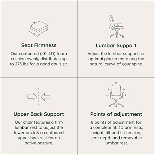 Ergonomic Chair - A Versatile Desk Chair with Adjustable Lumbar Support, Breathable Mesh Backrest, and Smooth Wheels - Experience Optimal Comfort and Support - Sand - White
