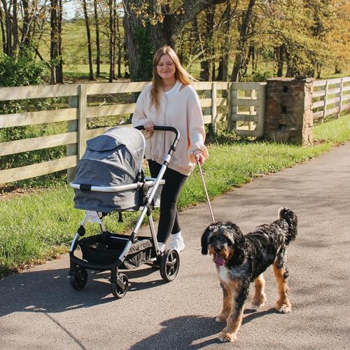 Mompush Meteor 2 Baby Stroller 2-in-1 with Bassinet Mode, Compatible with Infant Car Seat, Adapter Included - Stable Bassinet Stroller Combo, Full-Size Baby Strollers for Family Outings