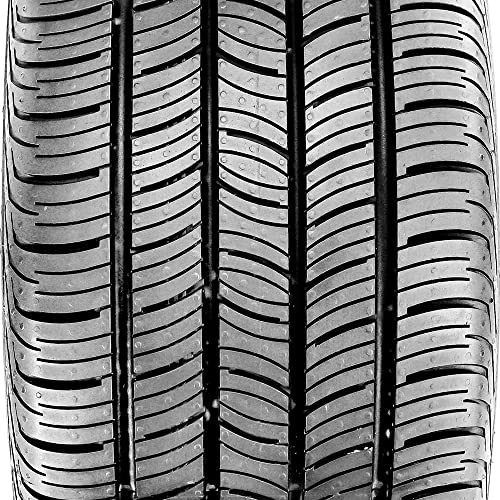 Continental ContiProContact Radial Tire - 205/55R16 91H