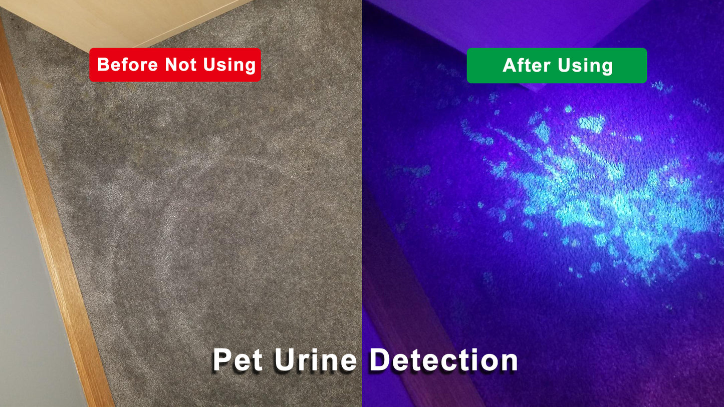 Vansky UV Flashlight Black Light, 51 LED Blacklight Pet Urine Detector for Dog/Cat Urine, Dry Stains, Bed Bug, Resin Curing, Scorpions Finder
