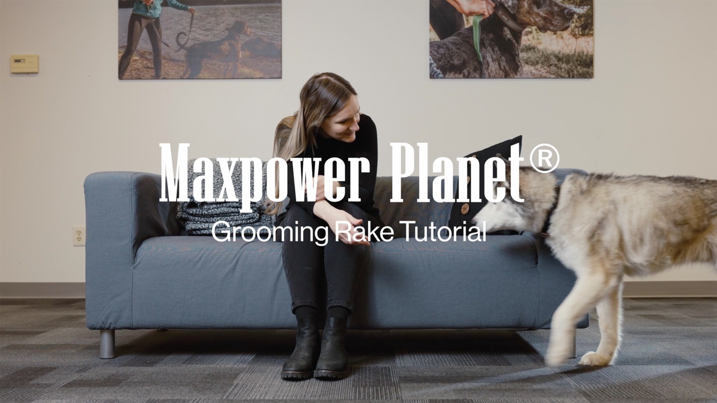 Maxpower Planet Pet Grooming Brush - Double Sided Shedding, Dematting Undercoat Rake for Dogs, Cats - Extra Wide Dog Grooming Brush, Dog Brush for Shedding, Cat Brush, Reduce Shedding by 95%, Blue