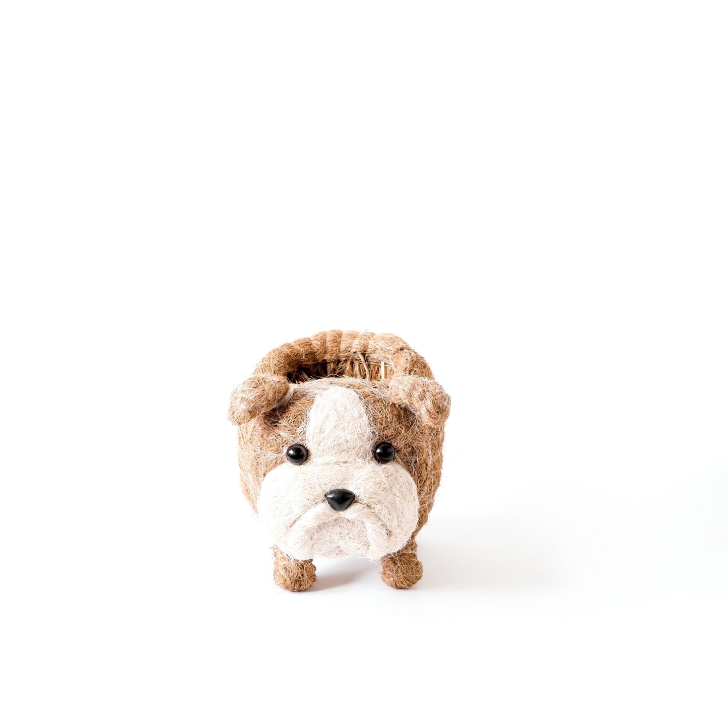 English Bulldog Planter - Coco Coir Pots | LIKHÂ
