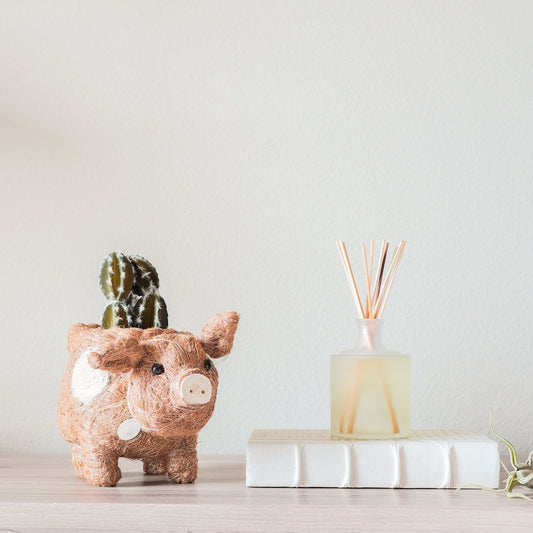 Pig Planter - Coco Coir Pots| LIKHÂ
