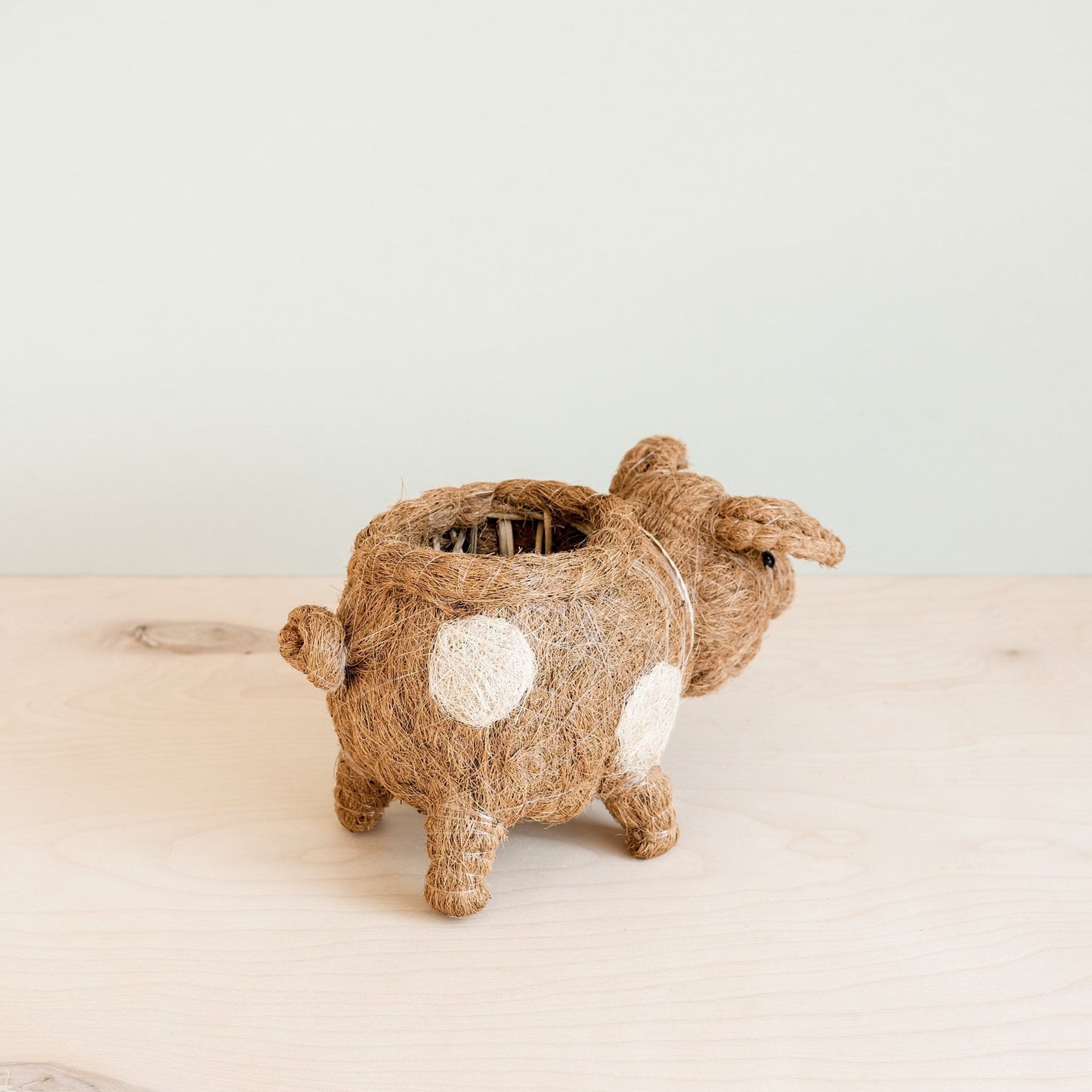 Pig Planter - Coco Coir Pots| LIKHÂ