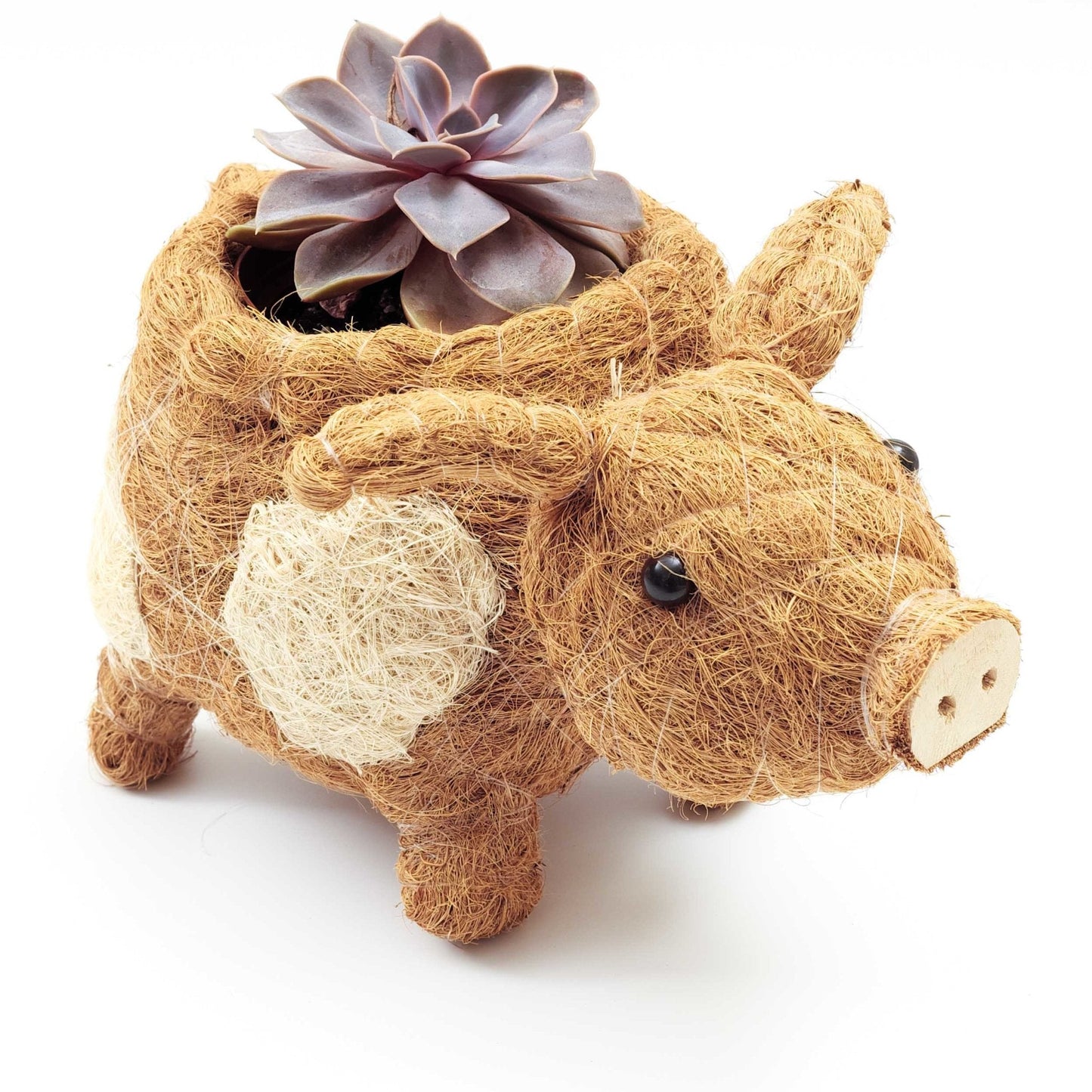 Pig Planter - Coco Coir Pots| LIKHÂ