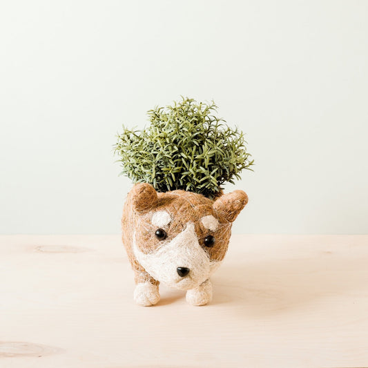 Corgi Succulent Pot - Handmade Planters | LIKHA