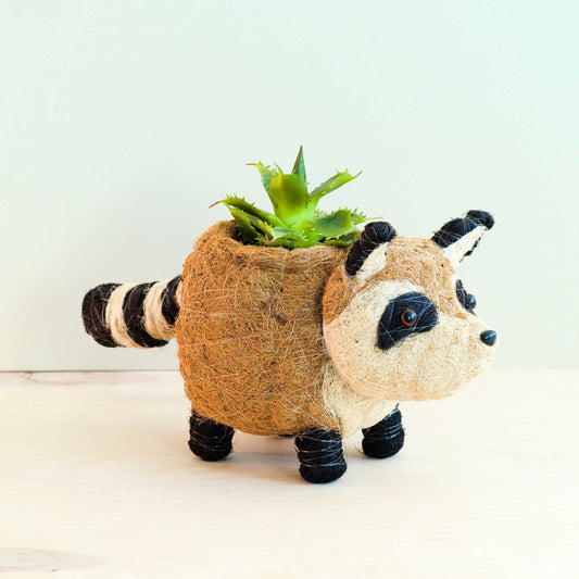 Raccoon Planter - Handmade Plant Pot | LIKHA