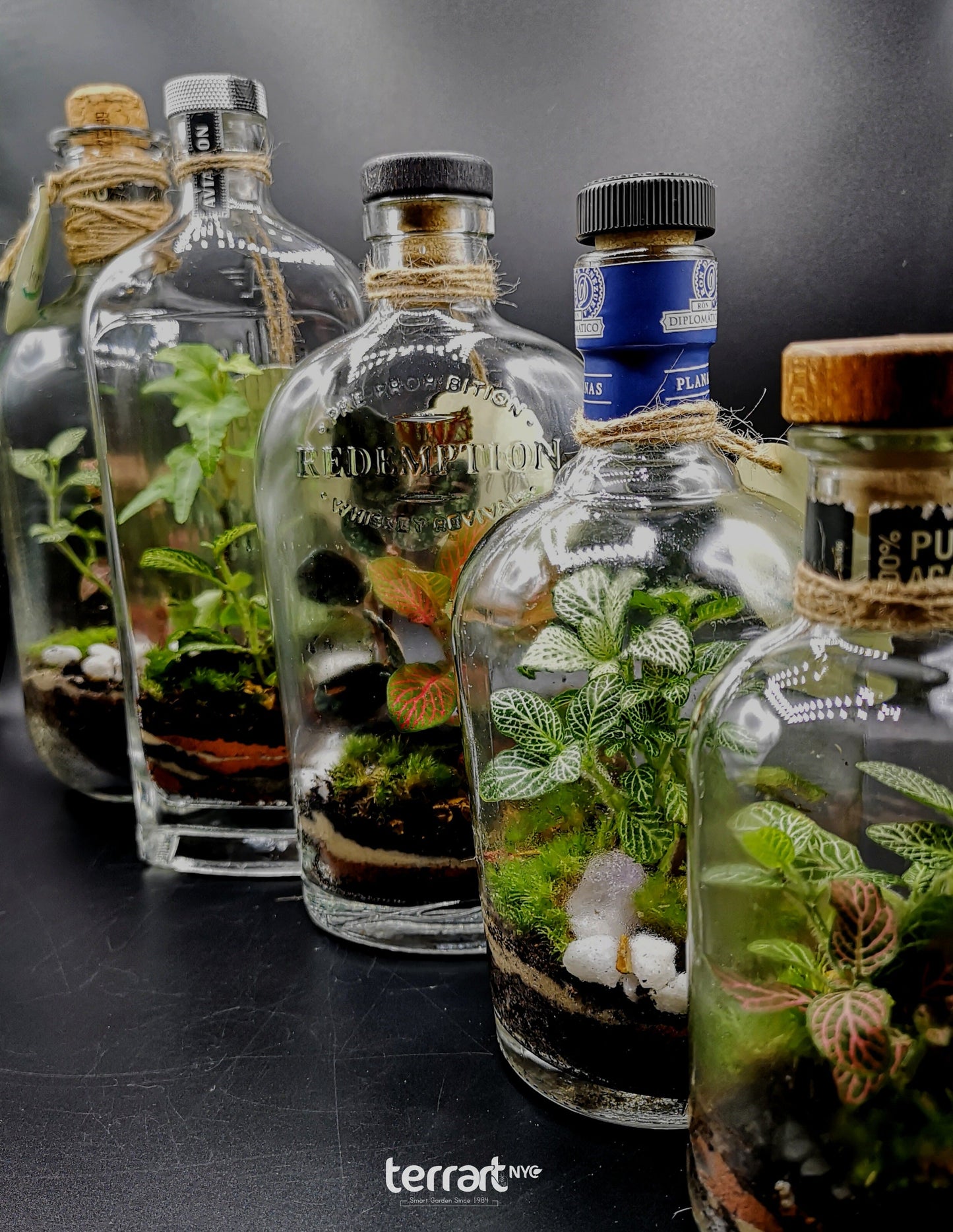 Liquor Bottles