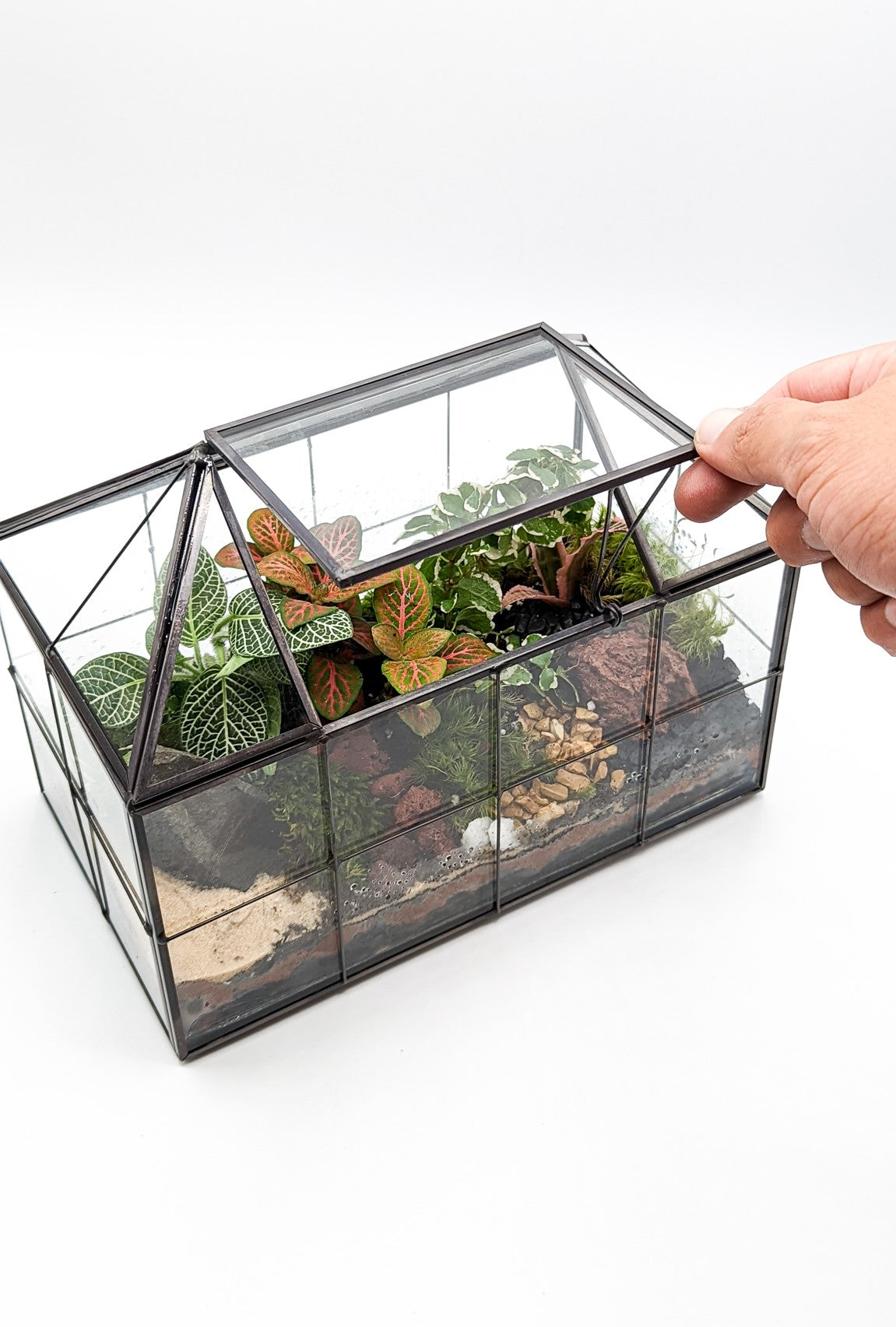 Greenhouse