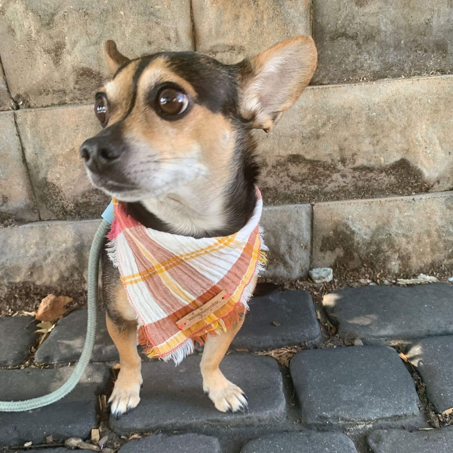 Desert Sunset Plaid Bandana