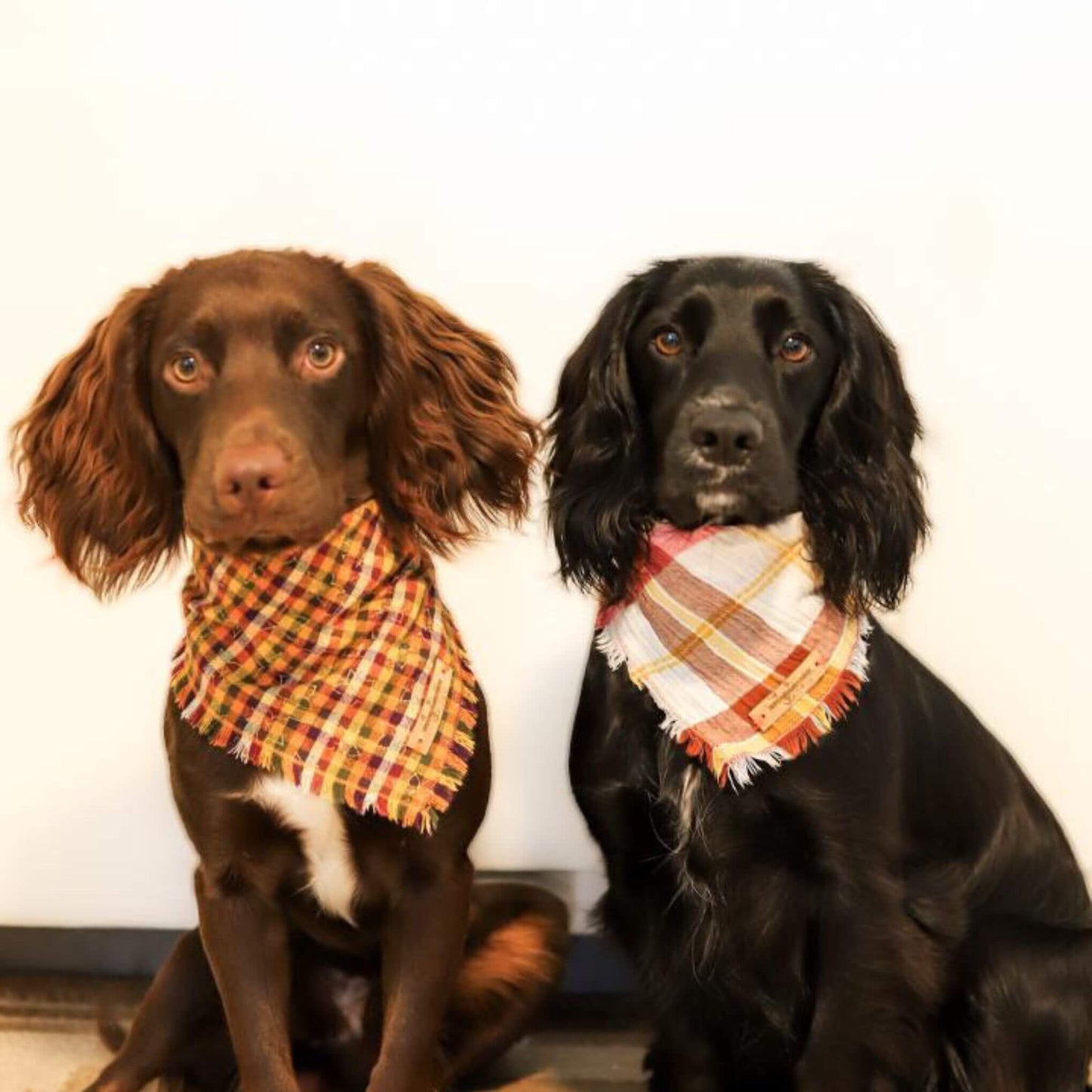 Desert Sunset Plaid Bandana