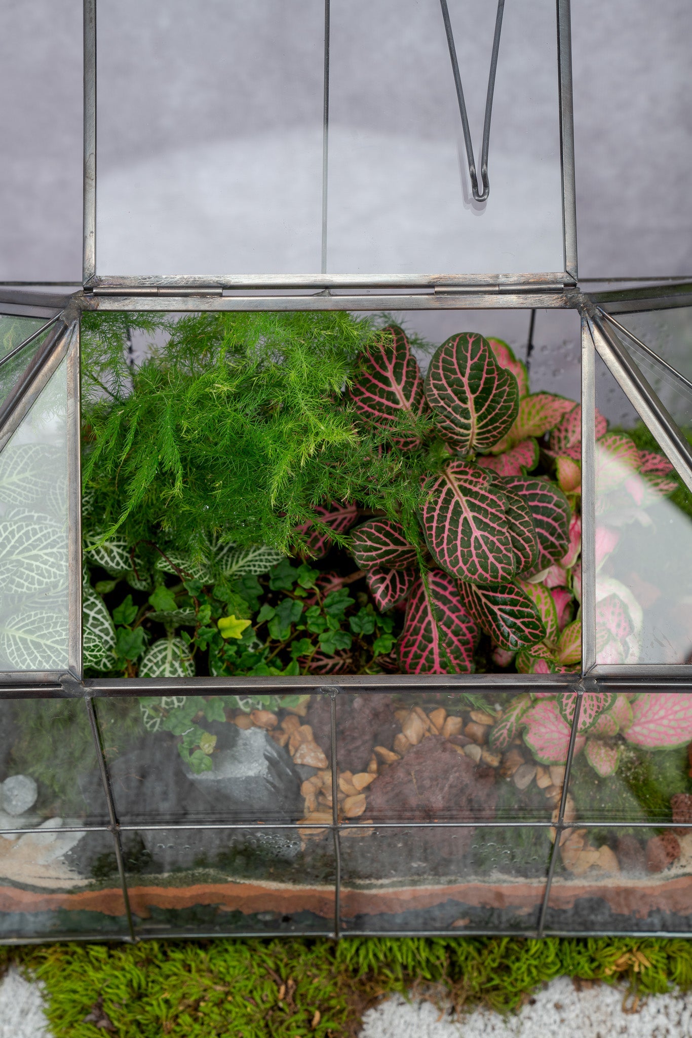 Greenhouse