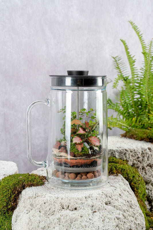French Press
