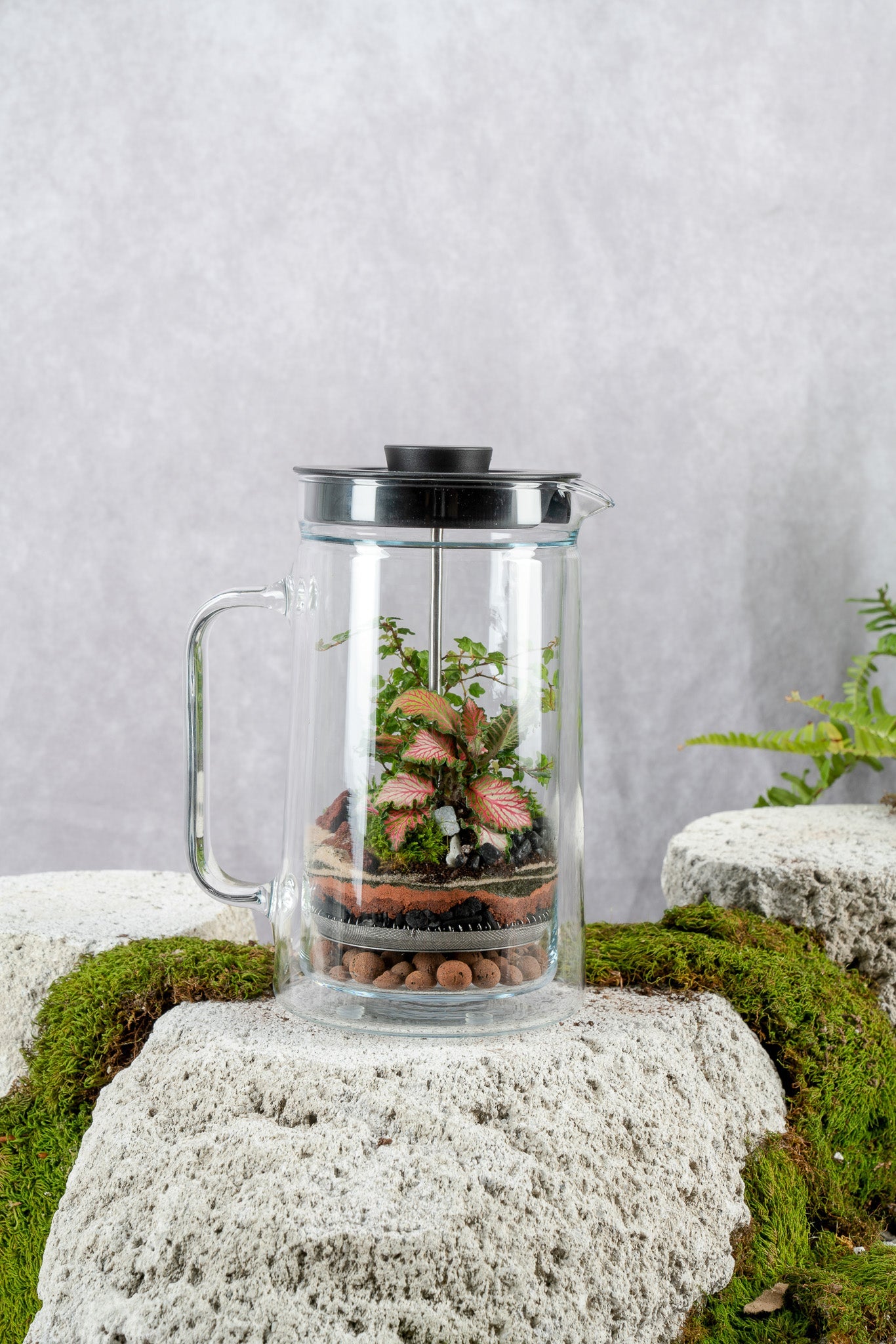 French Press