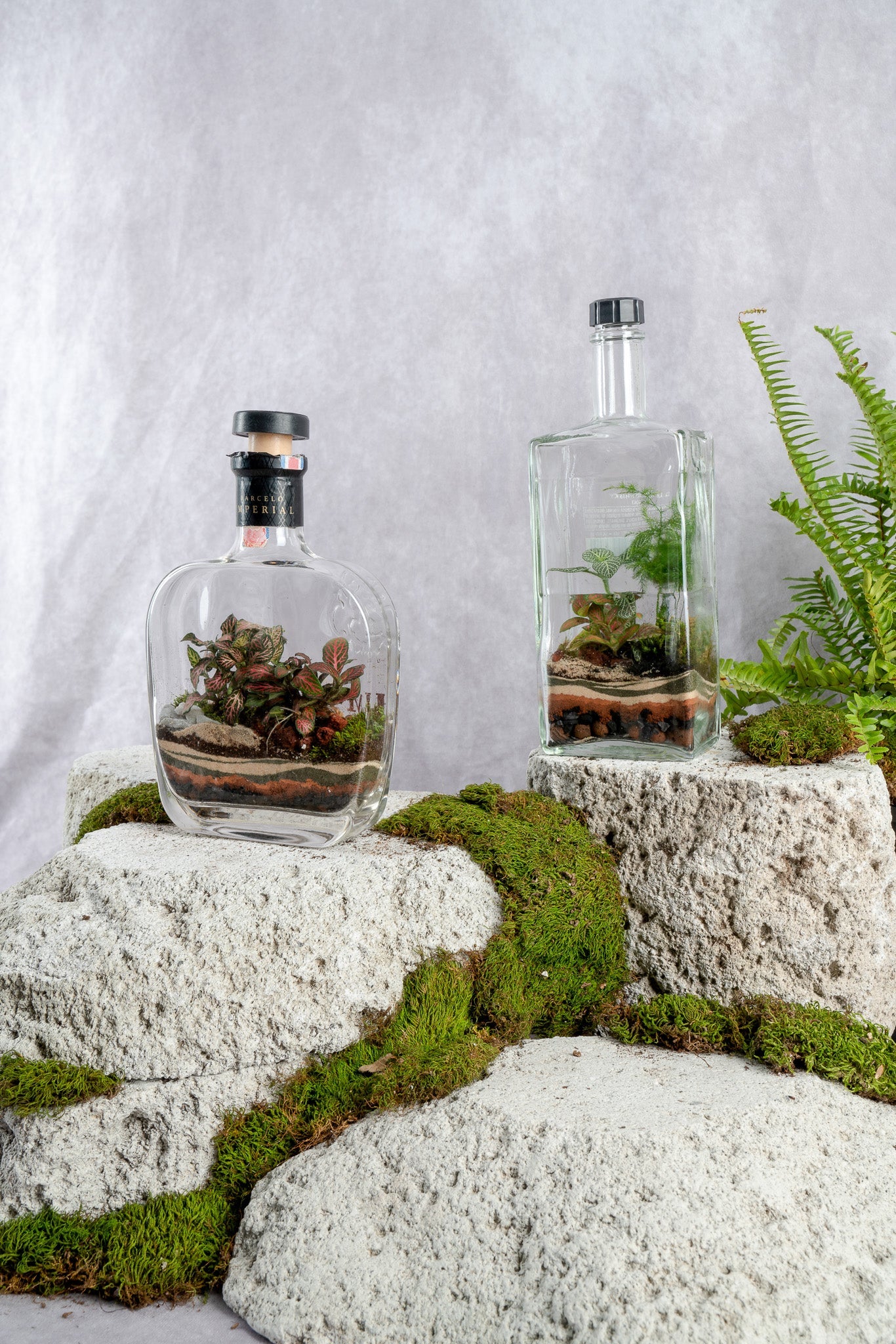 Liquor Bottles