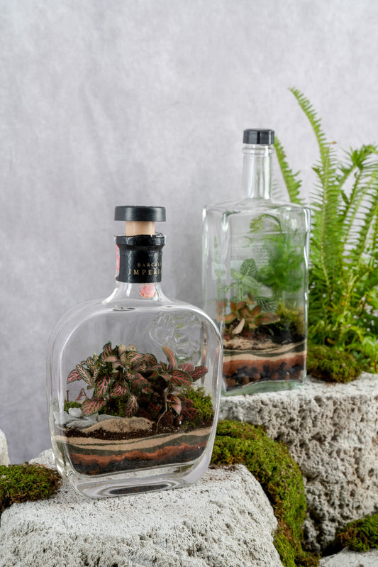 Liquor Bottles