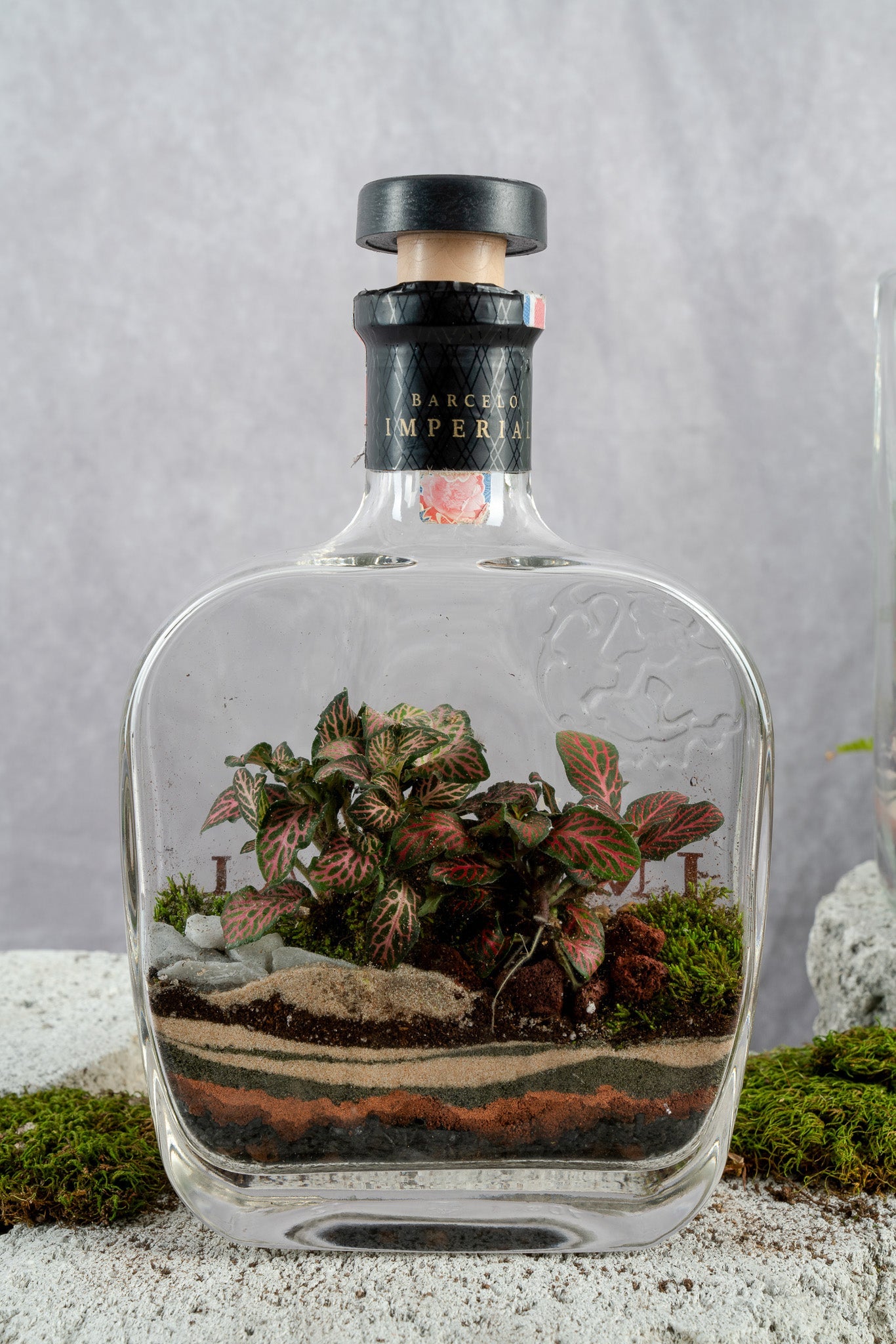 Liquor Bottles