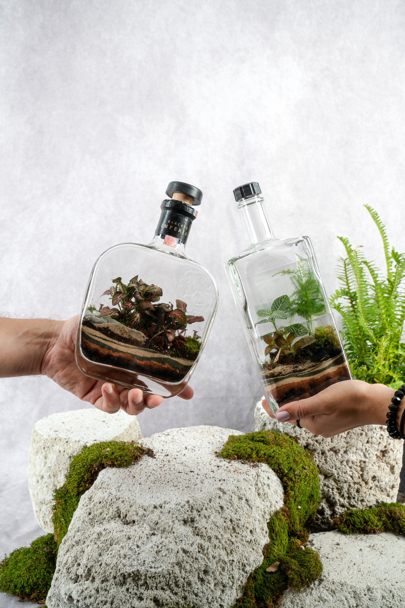 Liquor Bottles