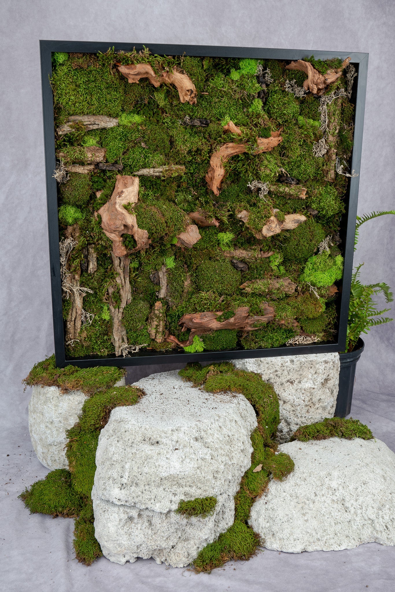 Pandora Moss Wall