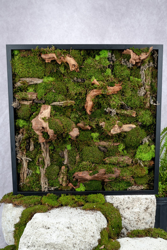 Pandora Moss Wall