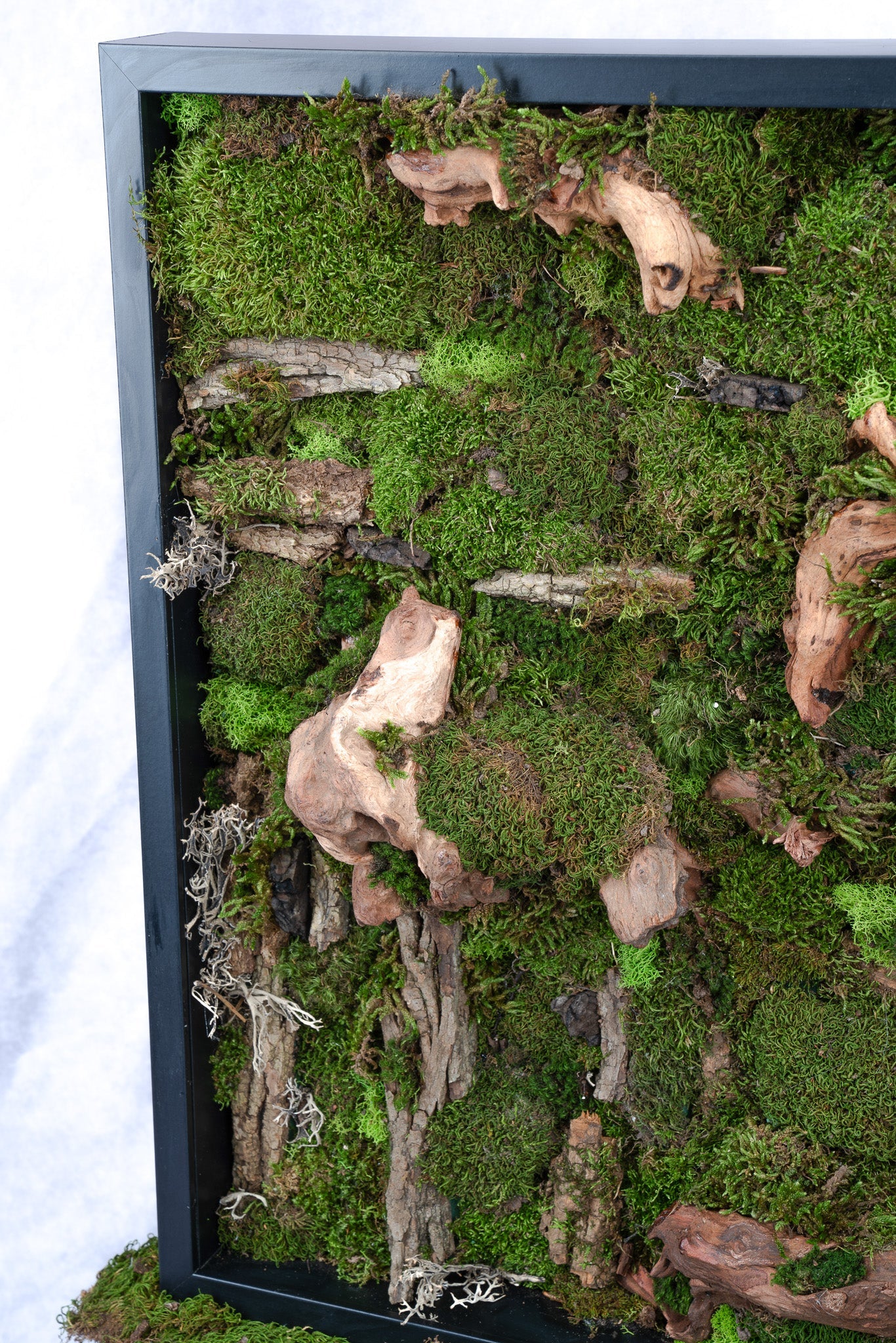 Pandora Moss Wall