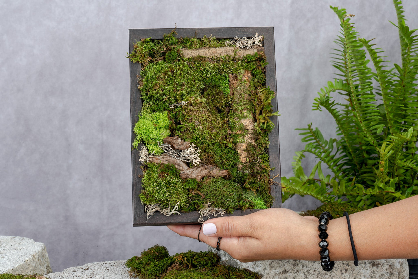 Nature's Canvas Moss Wall