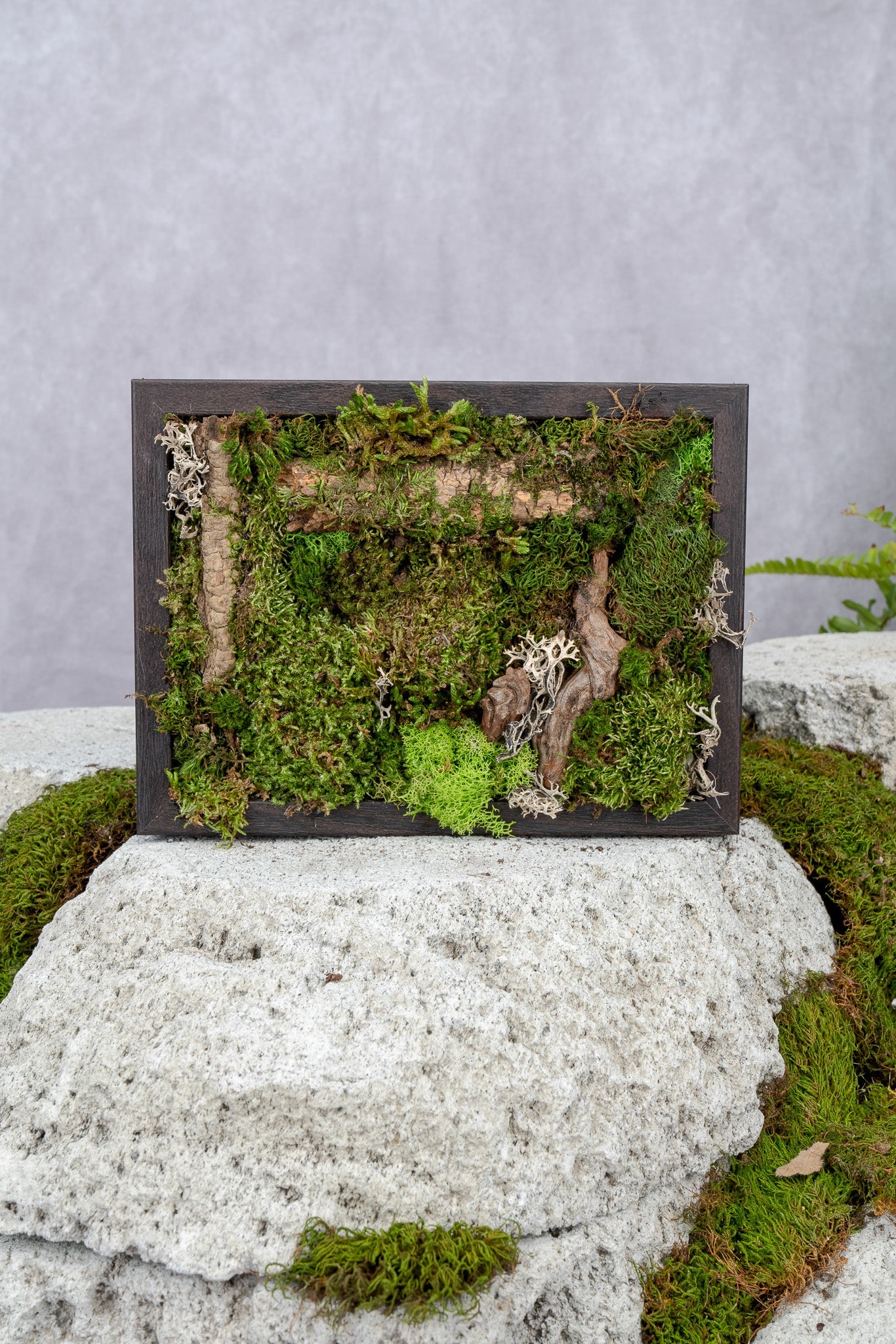 Nature's Canvas Moss Wall