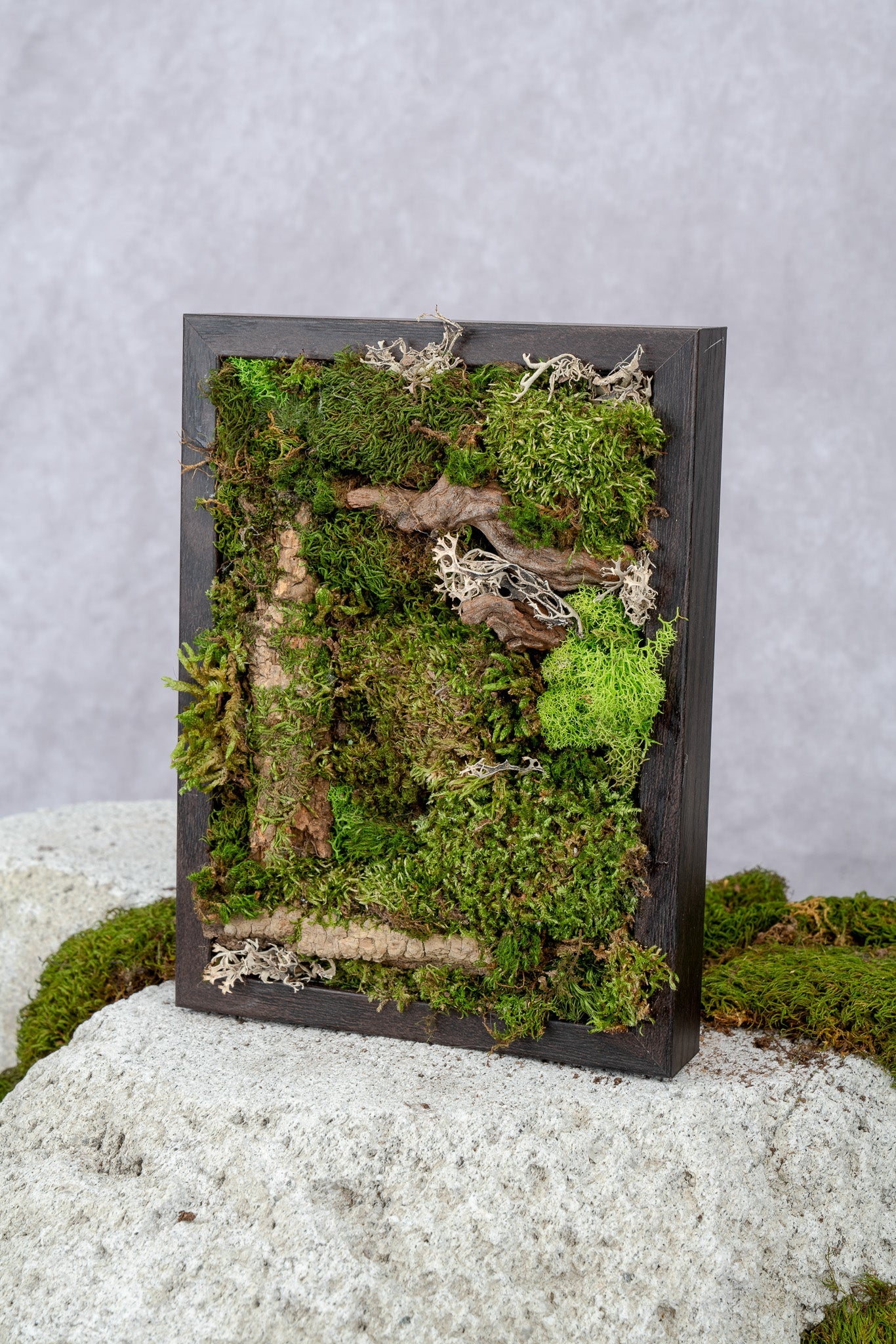 Nature's Canvas Moss Wall