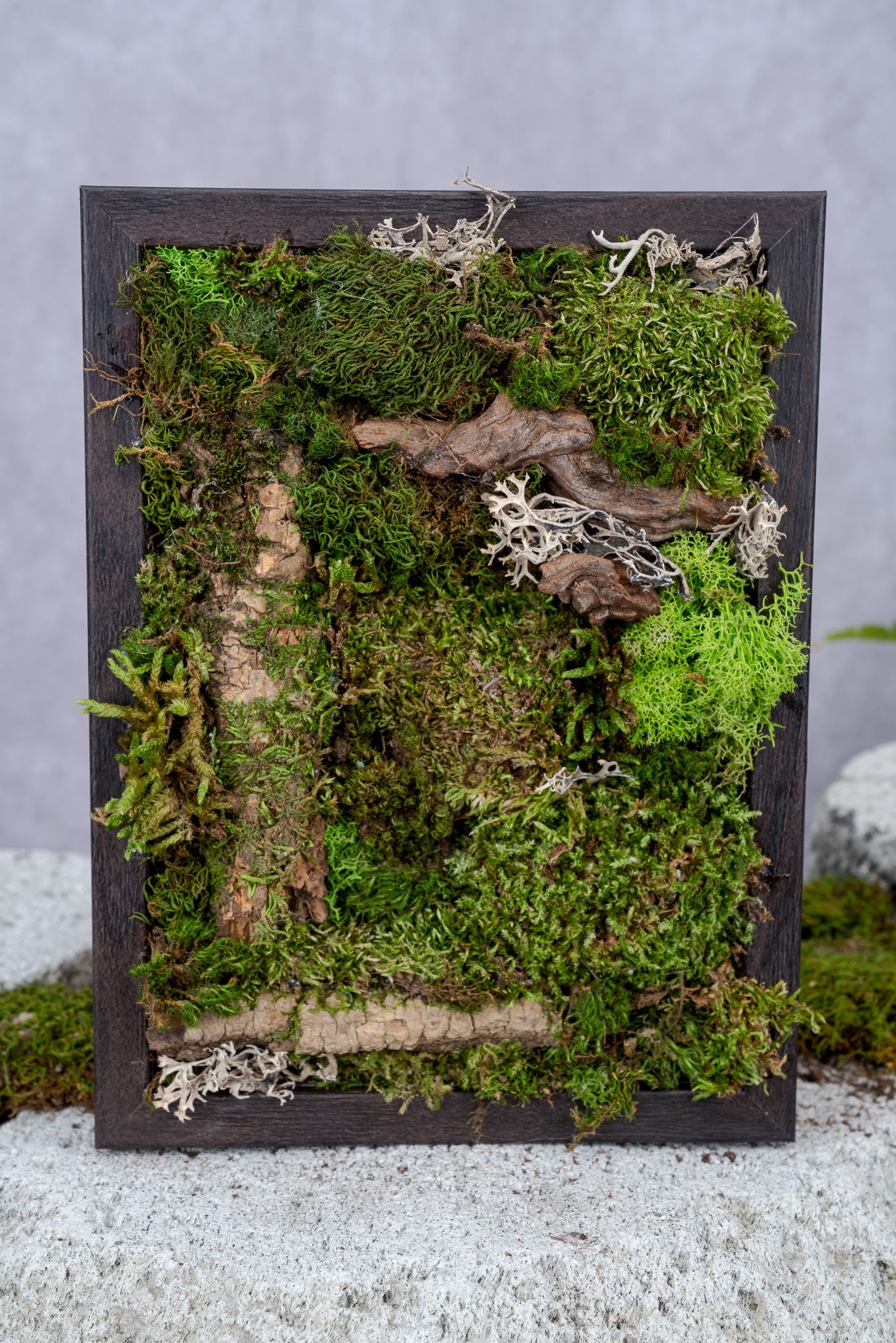 Nature's Canvas Moss Wall