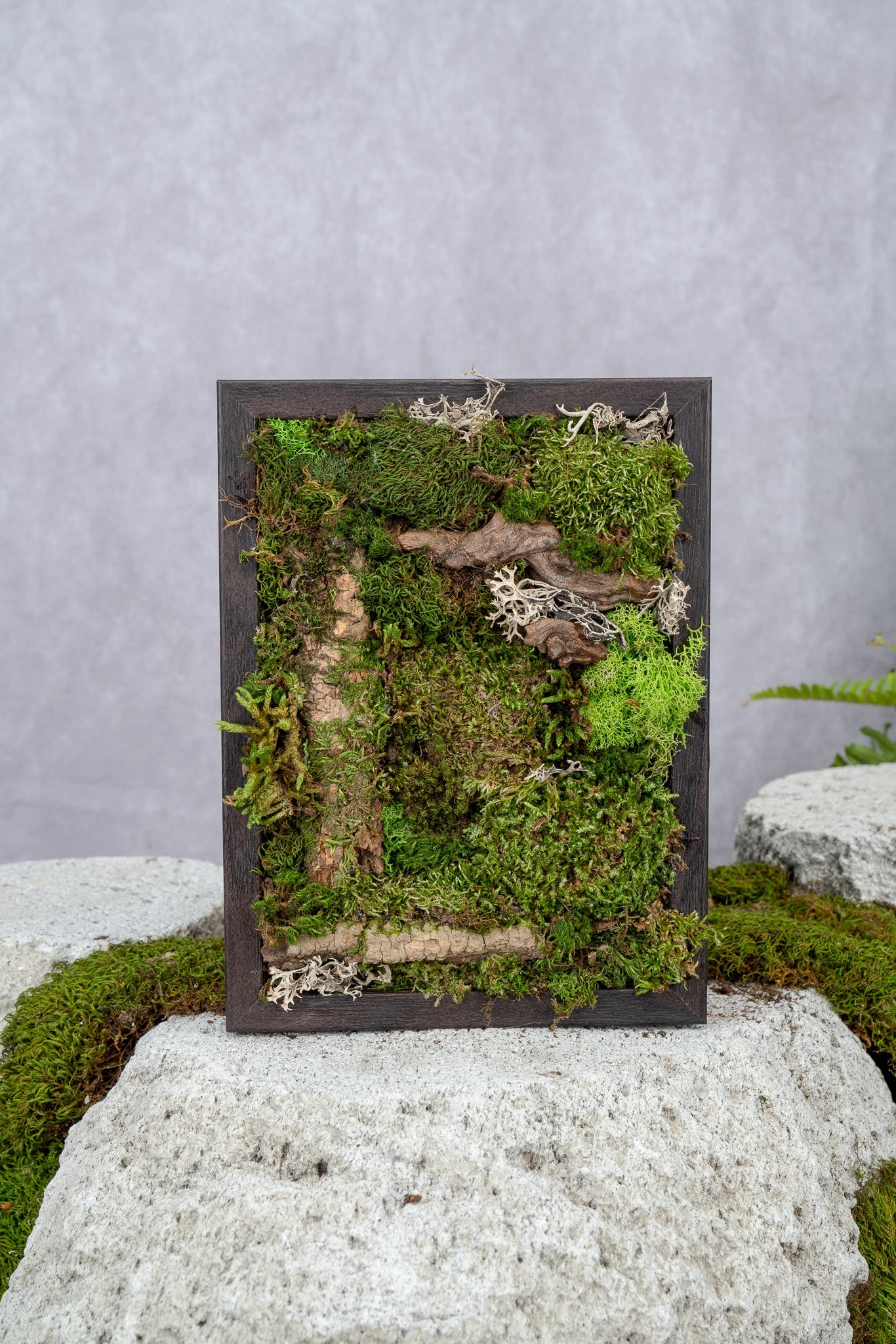 Nature's Canvas Moss Wall