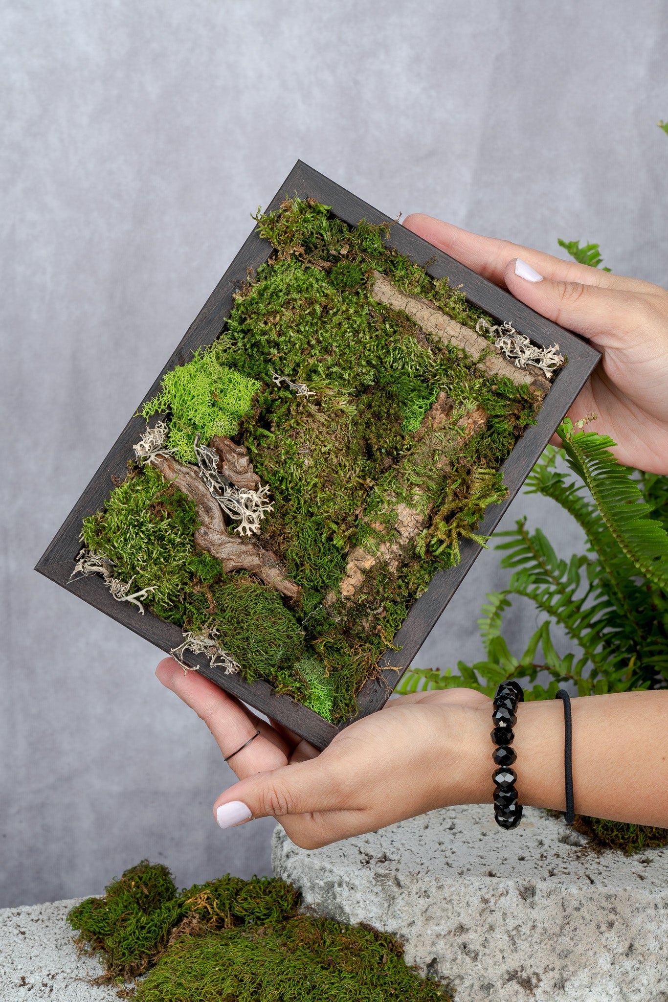Nature's Canvas Moss Wall