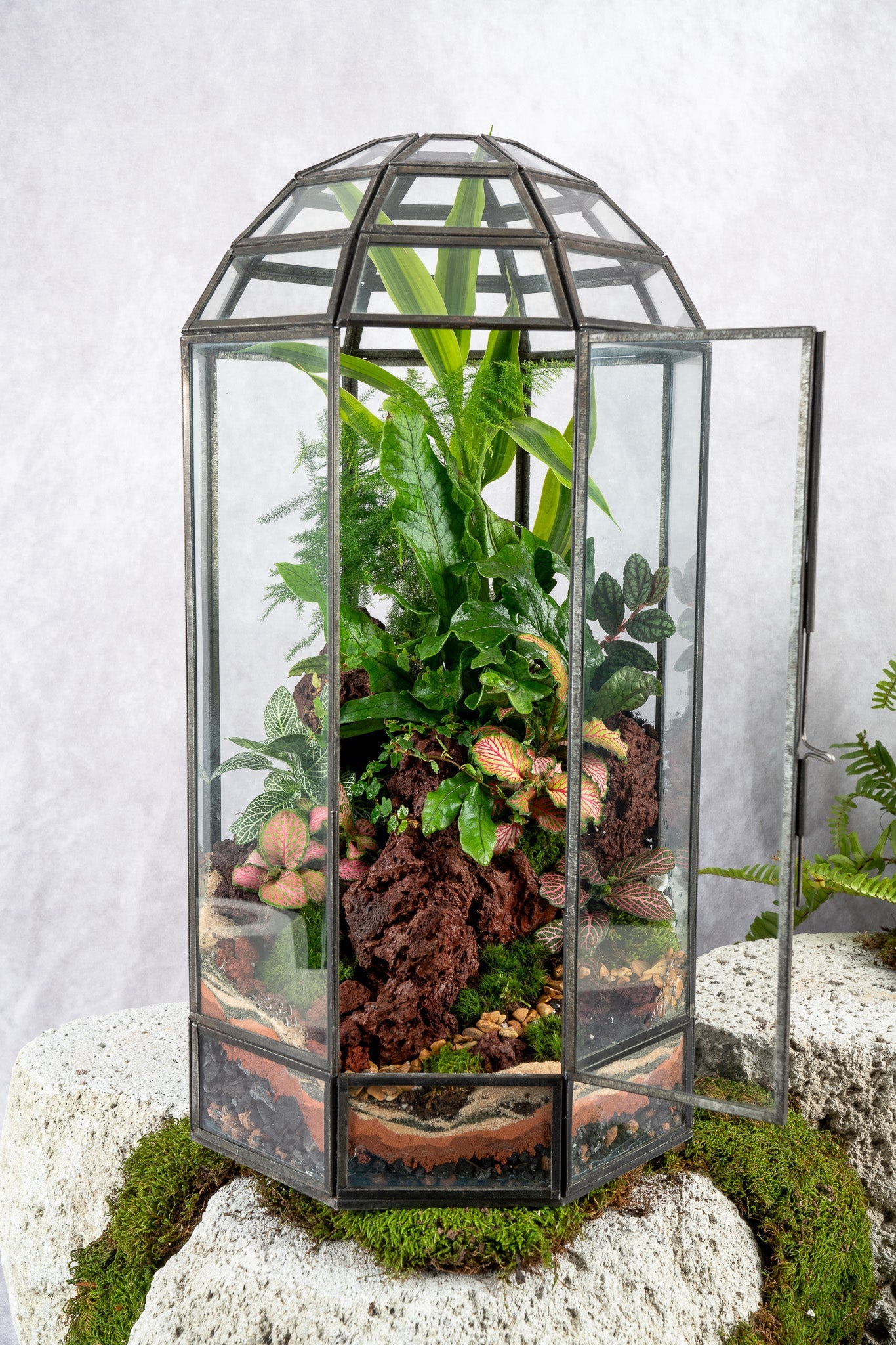 Babylon Tower Terrarium