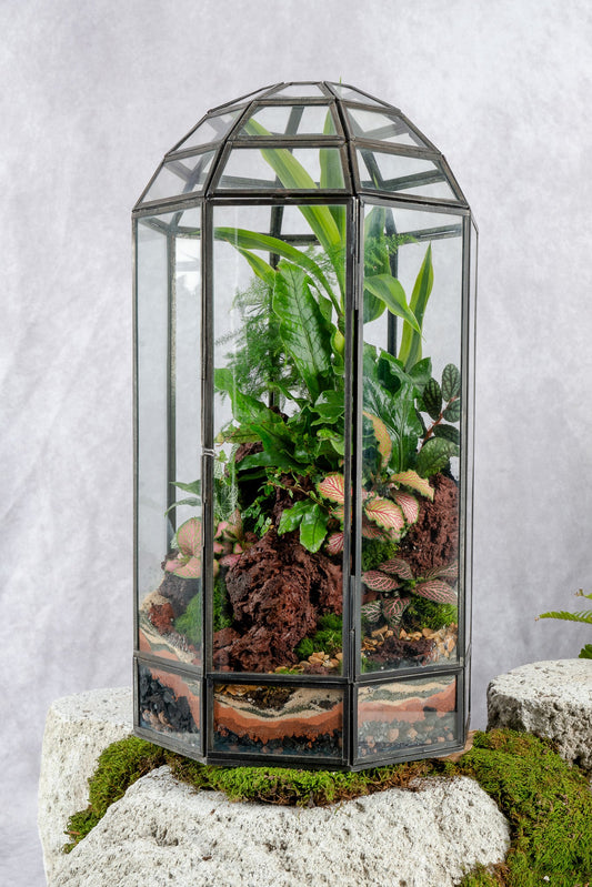 Babylon Tower Terrarium